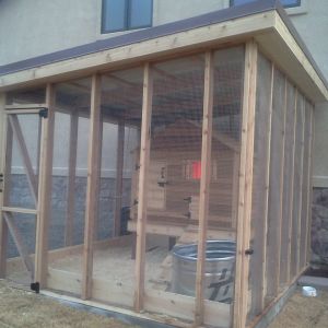Close-up of enclosure in the yard especially for them behind our Game/Guest house.