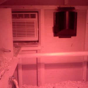 Our babies have Heat and A/C.  Yeah I guess I'm spoiling them already!!!