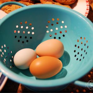 75% laying rate today.