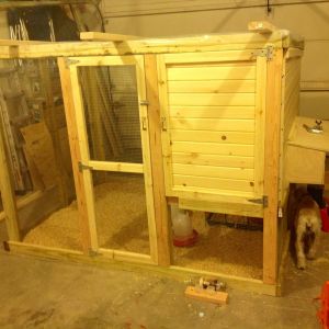 Our coop... currently residing in the garage!
