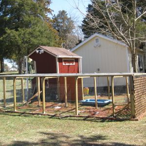 A 16 x 10 foot wire on top and sides.