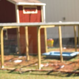 Supported  by treated  2 x 4 lumber.  Protected with bricks and pegs holding them in place, around base of run.  Blue tub will be their ash bath.