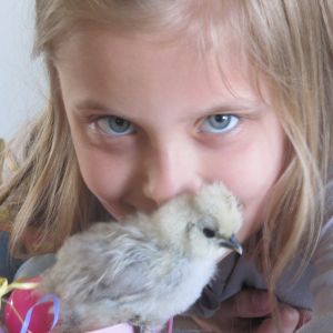 Niece Emma and a Silkie chick