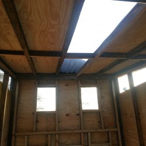 Skylight for letting light in.  With the direction the coop is oriented, they should be getting maximum daylight exposure.  The ventilation is situated under the tin overhang, the windows and door at the front and above the wall at the back.