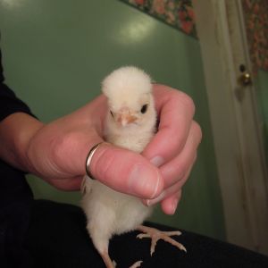 I was so afraid to let her go in case she fell or something.