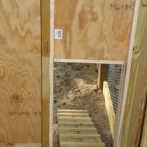 Chicken door and the ramp.