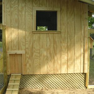 Chicken door closed. Lattice placed under the coop to enclose the run.