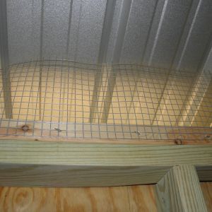 Inside the chicken coop, around the top.