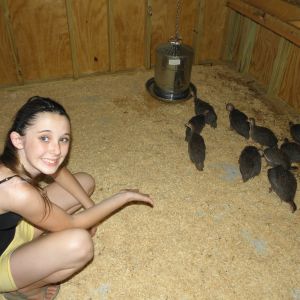 So happy that these babies are out of the house and in their new home.