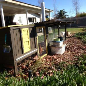 Mid Century Coop & Run