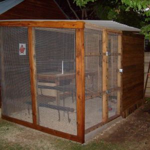 My coop for the three girls!