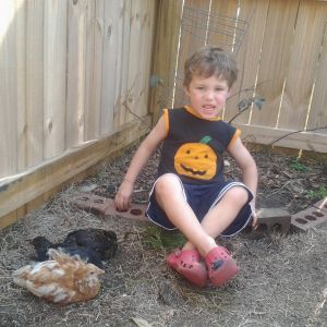 My son and his chicks