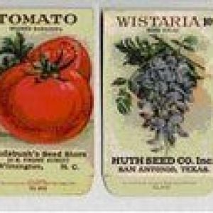 My favorite picture of vintage seed packets from 1918