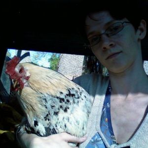 The "mean" rooster. My younger sister was terrified of him, so I just scooped him up and walked around with him awhile. He was okay with it, but not the camera.