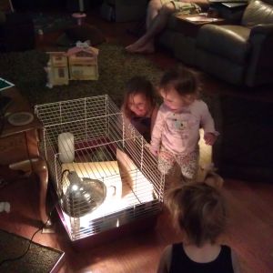 Linnae and her friends love the chicks