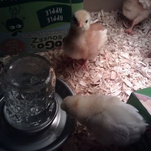 What mom, I didn't do it!