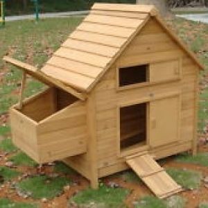 Just bought my new coop for the backyard. Hoping to house 3-4 chickens, and build an attached run. And of course paint it so the ladies have a fashionable place to stay.