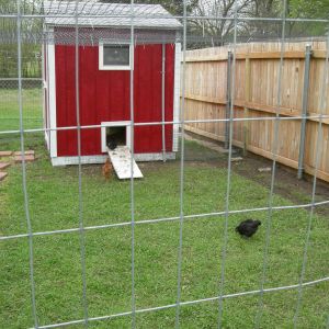 Finished pop door with ramp