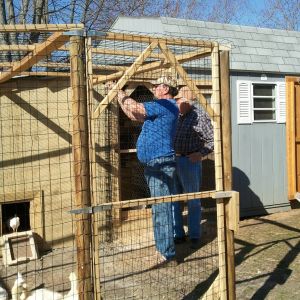Wire it up guys almost done ! We even wired the top to keep predators out.