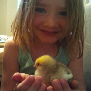 Meet my lovely daughter and her chicks
Here she is with Snowball