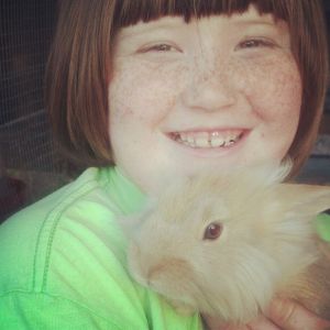 Lionhead mix bunnies.