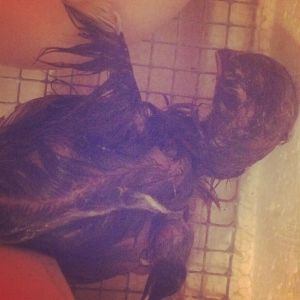 My 1st baby I hatched myself!  Kyle.