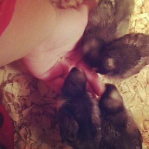 Eating out of my hand. (: