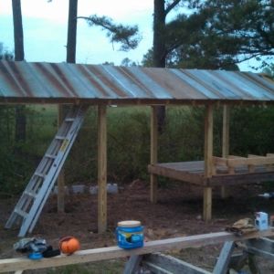 Making slow progress but hope to finish the roof up today and get the coop framed up in the next couple of days.