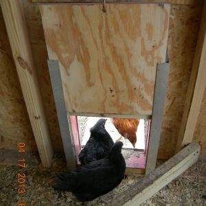 Pop Door Installation from inside.