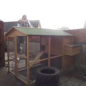 Our new coop