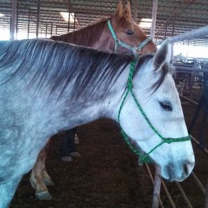 Poor baby had horrible feet