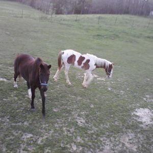 Dez and Duce! Dezi we don't have anyore/: