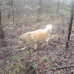 Rose exploring with me.