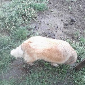 Rose exploring with me.