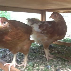 Mildred is definitely the curious one!