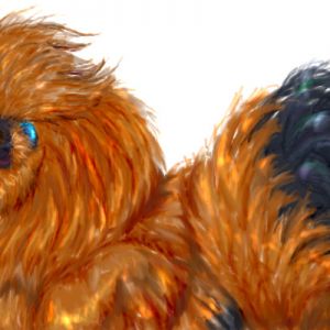 A drawing I did of Sorrel, my Silkie Roo. :}3