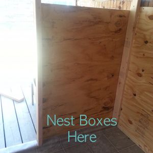 By the entrance -- nest boxes will be added here.