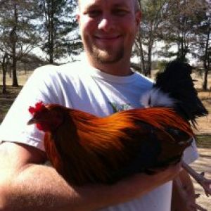 Big Boy everone says he is the prittiest