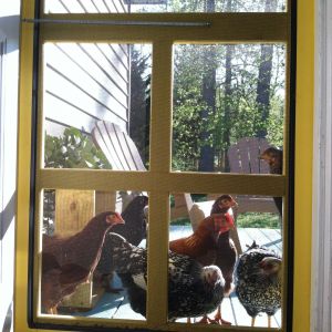 Will you come out to play?