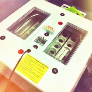 The incubator we'll be using - A Little Giant, still air incubator with an automatic egg turner.