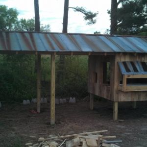 Still working on the nesting boxes.  Trying to decide if I want the roof to raise or have doors on the back of each nest.