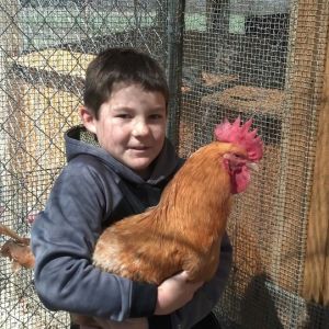 *
My youngest son with our rooster Browning