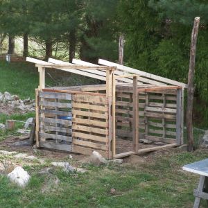 Front framing and roof rafter in place. Some of the only new lumber we bought were these long 2x4s for the roof.