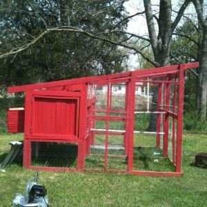 Our newly finished coop! Lot of hard work but we did it.