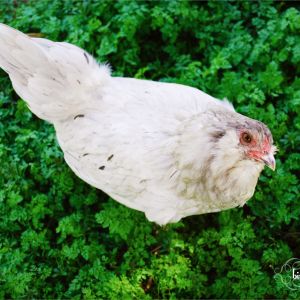 Marie is very inquisitive.