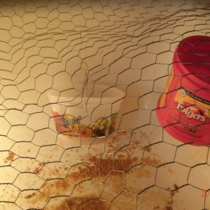 food and waterer hanging in the bath tub.