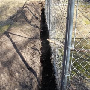 Predator proofing: I found as 10'X20' X6' chain link dog kennel on Craig's list for a decent price. After setting it up I dug a 12" deep trench around the perimeter. Using 24" chicken/poultry wire, I buried 12" and secured the other 12" to the chain link. I partially filled the trench with rock from the garden, then back filled with dirt. I had some flat stone from an old neglected flower border that I used to border the run and create a entry walk/path. The final security was adding old used 2"X4"X4' wire garden fence I had to cover the top. I had a few 10' lengths of conduit laying around, so I used it to arch some of the overhead fence to make more room for me to maneuver while cleaning. All in all it seems pretty darn secure. All of the years I have been here and have never seen a stray dog roaming, and just this past week there were three instances where neighbors were chasing their run-away dogs through my yard. I'm glad I took the time to make the girls secure.