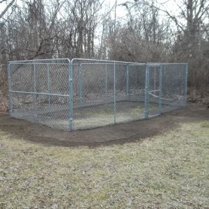 Almost ready for the coop.