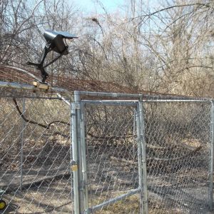 I had an old solar flag pole light that works well to illuminate the gate area at night.