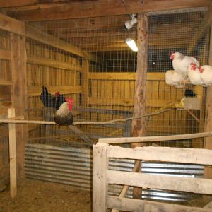Inside of our coop/barn